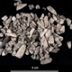 A pile of burned tooth fragments from Salorno.